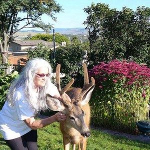 Meet your Posher, Evelyn